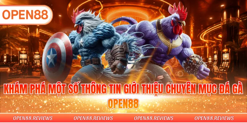 Khám phá một số thông tin giới thiệu chuyên mục đá gà Open88
