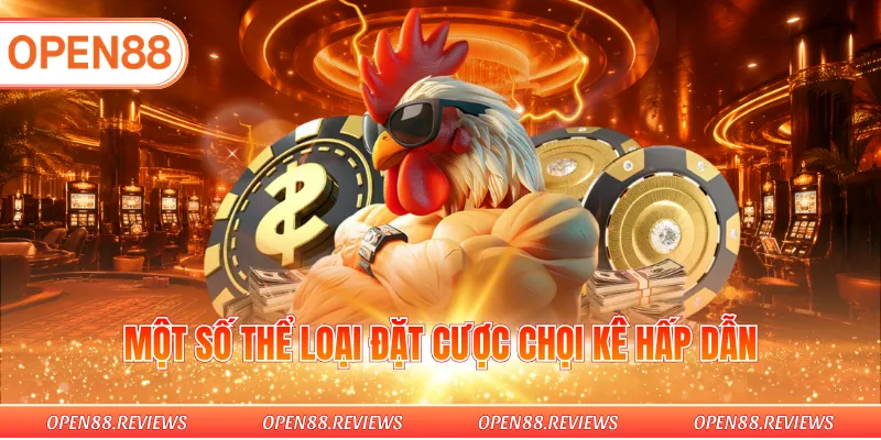 Một số thể loại đặt cược chọi kê hấp dẫn