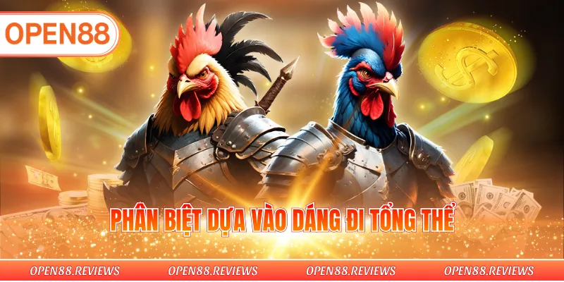 Phân biệt dựa vào dáng đi tổng thể