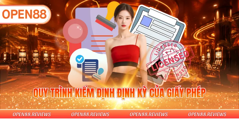 Quy trình kiểm định định kỳ của giấy phép