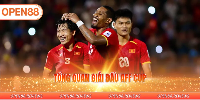 Tổng quan giải đấu AFF Cup